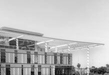 Ricardo Lombana: ¿Cómo Transformar Tu Vida Profesional Hoy?