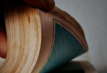 Elecciones De Gobernadores En Venezuela: ¿Quién Será El Ganador?