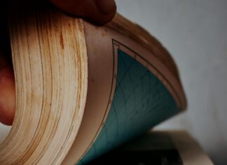 Elecciones De Gobernadores En Venezuela: ¿Quién Será El Ganador?