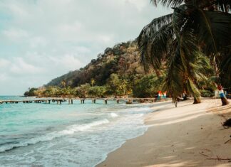 Juego De Panama Hoy: Descubre Cómo Vivir La Emoción Al Máximo