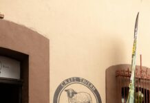 Etnia Negra: ¿Cuál Es Su Impacto Cultural y Social Hoy?