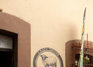 Etnia Negra: ¿Cuál Es Su Impacto Cultural y Social Hoy?