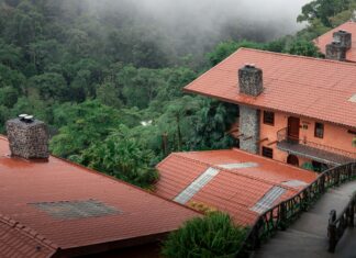 Quitar Fondo De Imagen: Descubre Cómo Transformar Tus Fotos