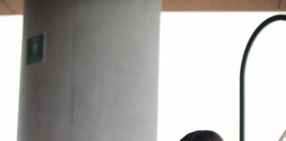 Ficha Digital: ¿Cómo Transformar Tu Presencia en Línea Efectivamente? Noticias de Panamá