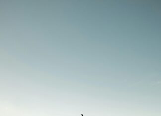 Ifarhu Concurso De Becas 2021: ¿Cómo Aumentar Tus Oportunidades?