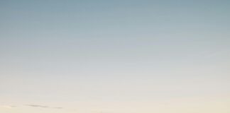 Reclusorio Norte: ¿Qué Secretos Esconde Este Infame Penal? Noticias de Panamá