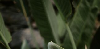 pexels photo 18687551 2 Noticias de Panamá