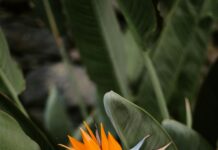 Planta Potabilizadora De Chilibre: ¿Cómo Mejora Tu Agua?