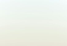 Abreviatura De Maestra: ¿Cuál Es Su Significado Y Uso?