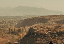 Lotería De Hoy En Vivo: ¿Cómo Ganar y Transformar Tu Suerte?