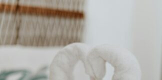 Copa Mundial De Clubes FIFA: ¿Quién Se Llevará La Gloria? Noticias de Panamá