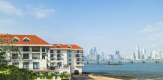 Ley 409 Panama: ¿Cómo Afecta Tu Negocio y Derechos Laborales? Noticias de Panamá