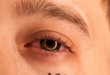 Sufragio Efectivo No Reelección: ¿La Clave Para Un Cambio Real?