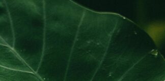 Ajustes Efectivos Para Transformar Tu Experiencia Diaria Noticias de Panamá