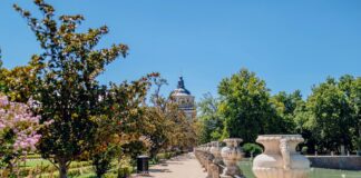 Alineaciones De Real Sociedad Contra Real Madrid: ¿Quién Ganará? Noticias de Panamá