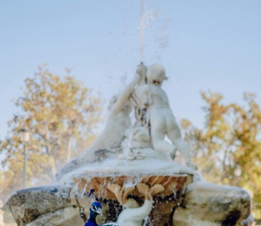 Real Madrid Vs. Celta De Vigo: ¿Quién Dominará El Partido Clave?