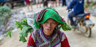 Ricardo Miro: ¿Cómo Transformar Tu Vida Con Su Inspiradora Filosofía? Noticias de Panamá