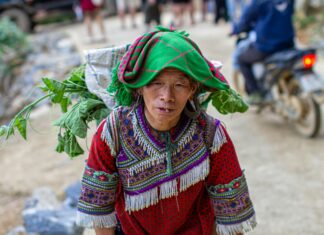 Ricardo Miro: ¿Cómo Transformar Tu Vida Con Su Inspiradora Filosofía?
