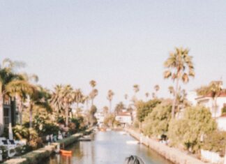 Romper El Círculo: ¿Cómo Transformar Tu Vida Con Estrategias Poderosas?