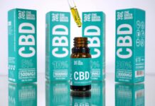 Mycobacterium Tuberculosis: ¿Cómo Afecta Tu Salud y Bienestar?