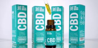 pexels photo 29612400 Noticias de Panamá