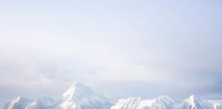 Wingo: ¿Cómo Transformar Tu Experiencia de Viaje al Máximo? Noticias de Panamá