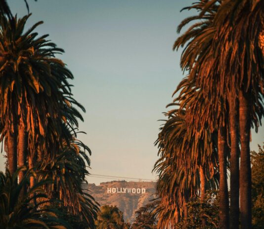 Anguila De La 5: Descubre El Secreto Detrás De Su Sabor Exquisito