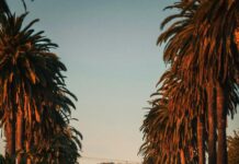 Caja De Ahorros Horarios: ¿Cómo Elegir La Mejor Opción Para Ti?