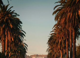 La Fuente De La Eterna Juventud: ¿El Secreto De La Inmortalidad?