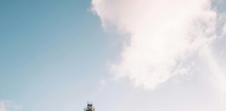 Liga De Naciones Concacaf: ¿Quién Se Llevará El Trofeo? Noticias de Panamá