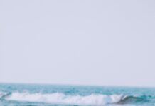 Resolución De Problemas Matemáticos: Descubre Estrategias Efectivas