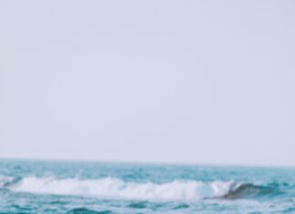 Resolución De Problemas Matemáticos: Descubre Estrategias Efectivas