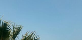 Mapa De Europa: Descubre Los Secretos Que No Conocías Del Continente Noticias de Panamá