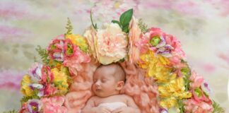 Admision Up: Descubre Cómo Aumentar Tus Oportunidades Educativas Noticias de Panamá