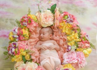 Admision Up: Descubre Cómo Aumentar Tus Oportunidades Educativas