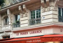 A Chiquita: ¿Cómo Transformar Tu Estilo de Vida Saludable?