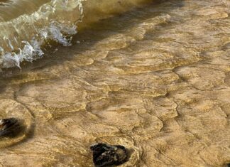 Traductor De Español A Inglés: Descubre Su Impacto En Tu Comunicación