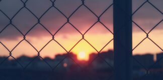 Tigo Servicio Al Cliente: ¿Cómo Resolver Tus Dudas Fácilmente? Noticias de Panamá