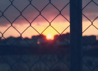 Tigo Servicio Al Cliente: ¿Cómo Resolver Tus Dudas Fácilmente?