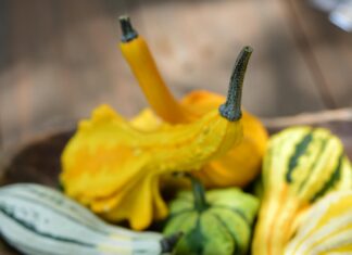 Tiempo De Mañana: ¿Qué Clima Sorprendente Nos Espera Hoy?