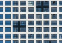 Palabreja: Descubre El Poder De Las Palabras En Tu Vida