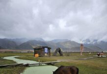 Meduca Vacantes: ¿Cómo Aumentar Tus Oportunidades Laborales?