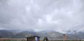 Meduca Vacantes: ¿Cómo Aumentar Tus Oportunidades Laborales? Noticias de Panamá