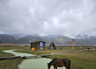 Meduca Vacantes: ¿Cómo Aumentar Tus Oportunidades Laborales?