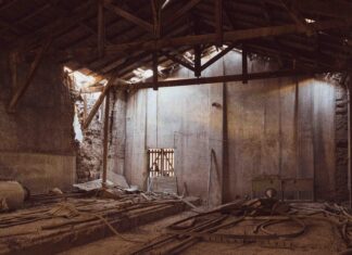 Juan Diego Vásquez: ¿Qué Secretos Esconde Su Éxito Profesional?