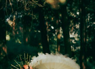 Nombres De Dinosaurios: Descubre Los Más Fascinantes Y Raros