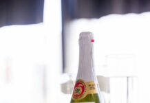 Ricardo Martinelli: ¿Qué Revelan Sus Decisiones Sobre Panamá?