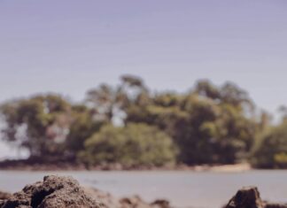 Peinados Para Niñas: Ideas Fáciles Y Creativas Que Encantan