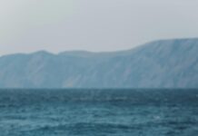 Fondos De Pantalla: Descubre Los Mejores Para Personalizar Tu Dispositivo