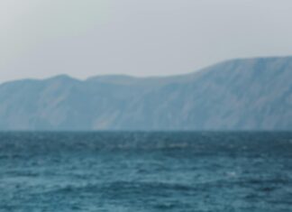 Fondos De Pantalla: Descubre Los Mejores Para Personalizar Tu Dispositivo